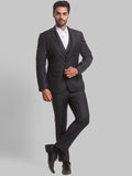 Park Avenue Men Checked Single Breasted Slim Fit 3-Peice Formal Suit