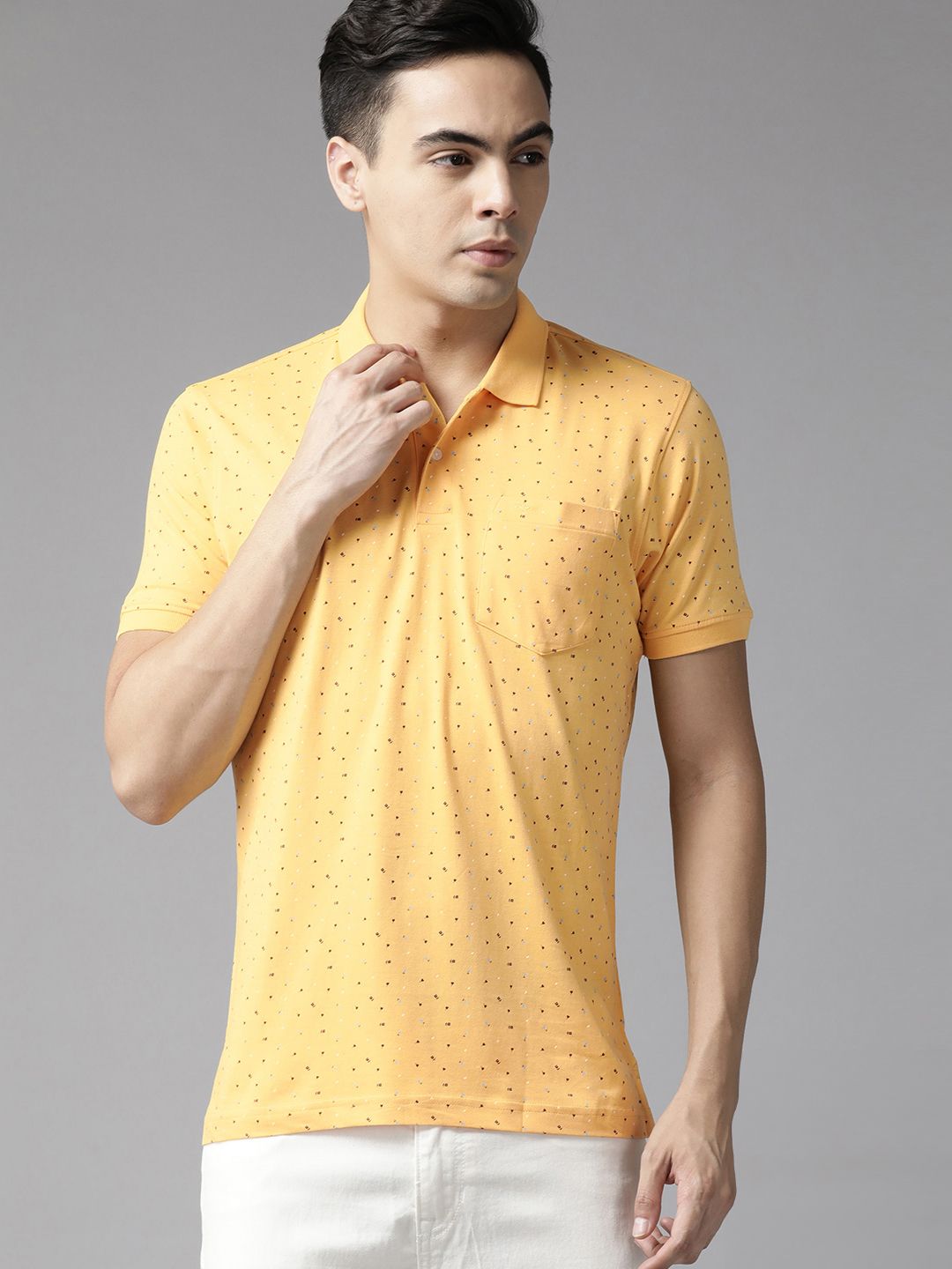 Park Avenue Men Printed Polo Collar Slim Fit T-shirt