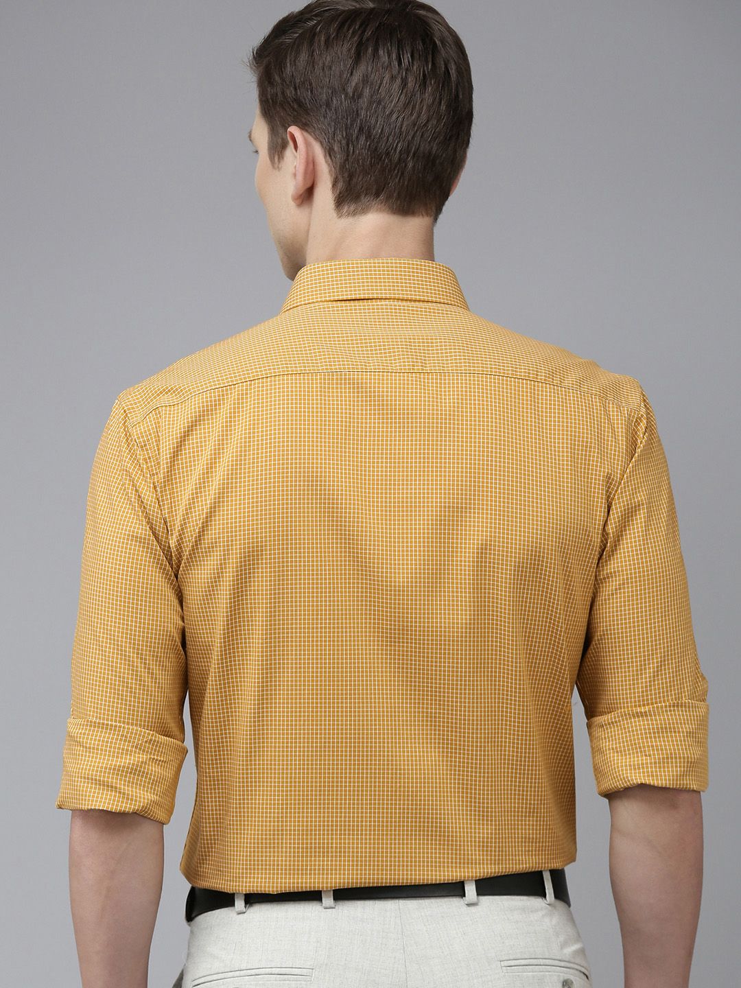Park Avenue Slim Fit Micro Checked Pure Cotton Formal Shirt
