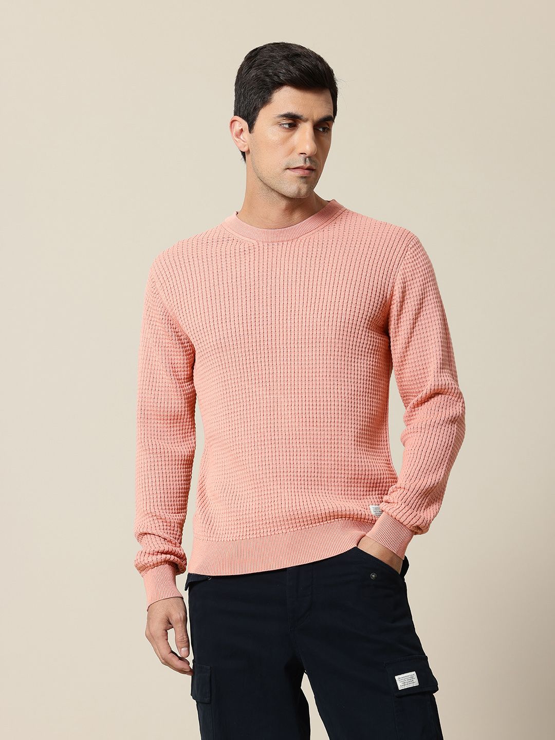 Mr Bowerbird Pure Cotton Self-Design Pullover Sweater
