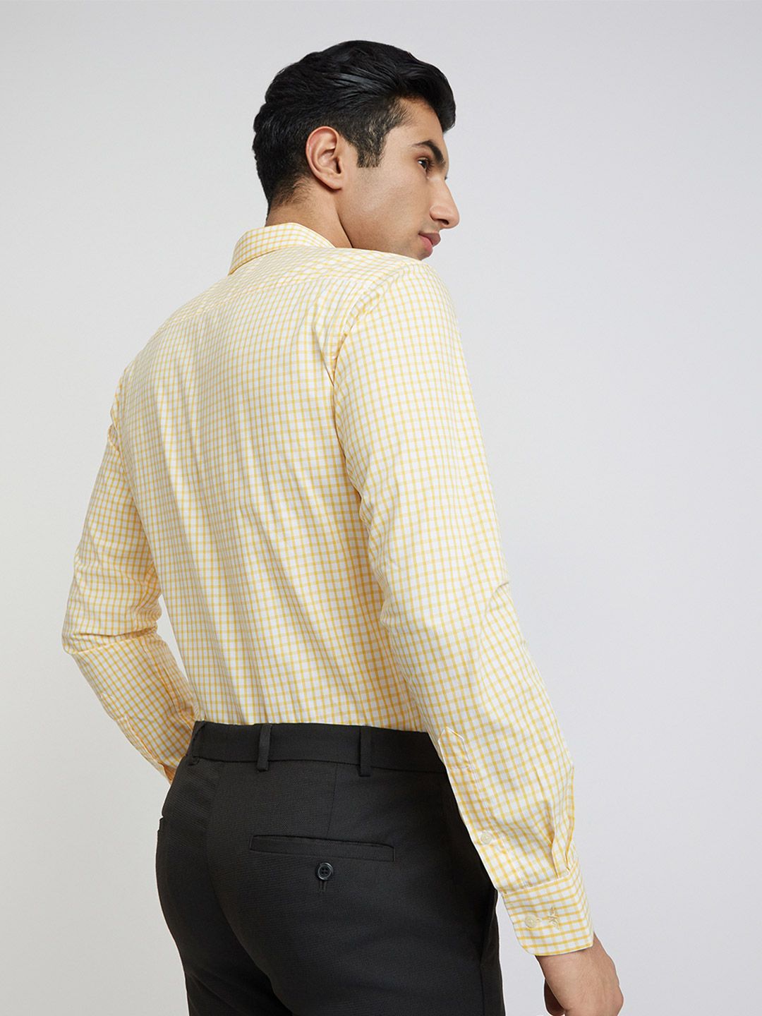 Park Avenue Slim Fit Gingham Checks Pure Cotton Formal Shirt