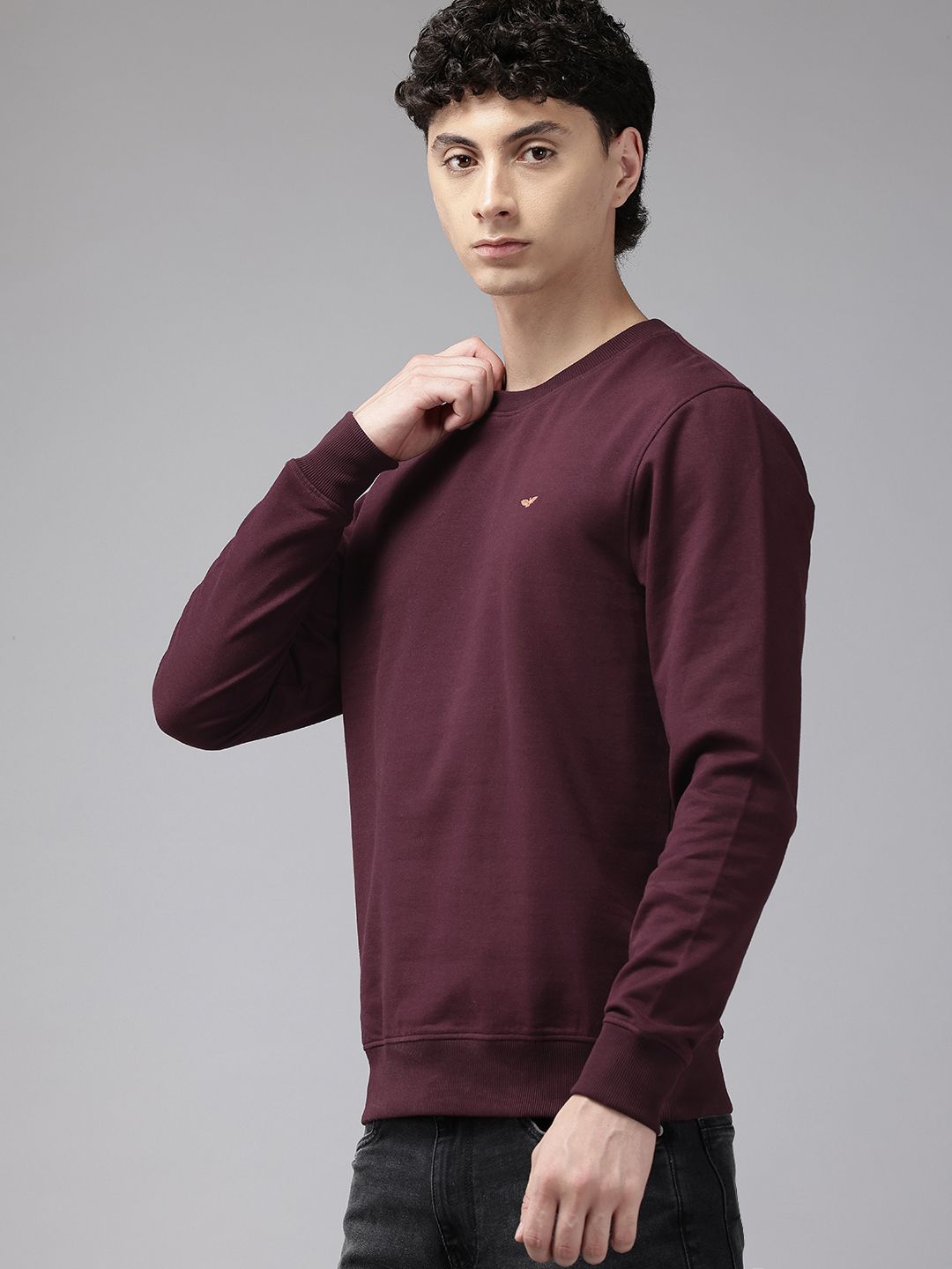 Park Avenue Slim Fit Sweatshirt