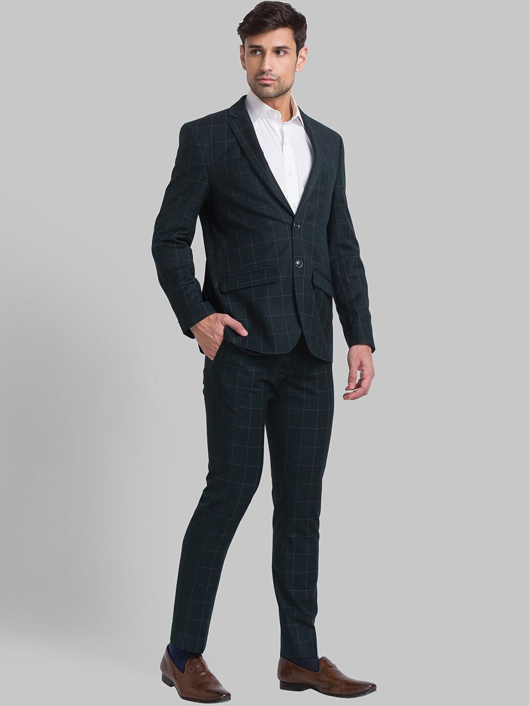 Park Avenue Men Checked Single Breasted Two Piece Formal Suit