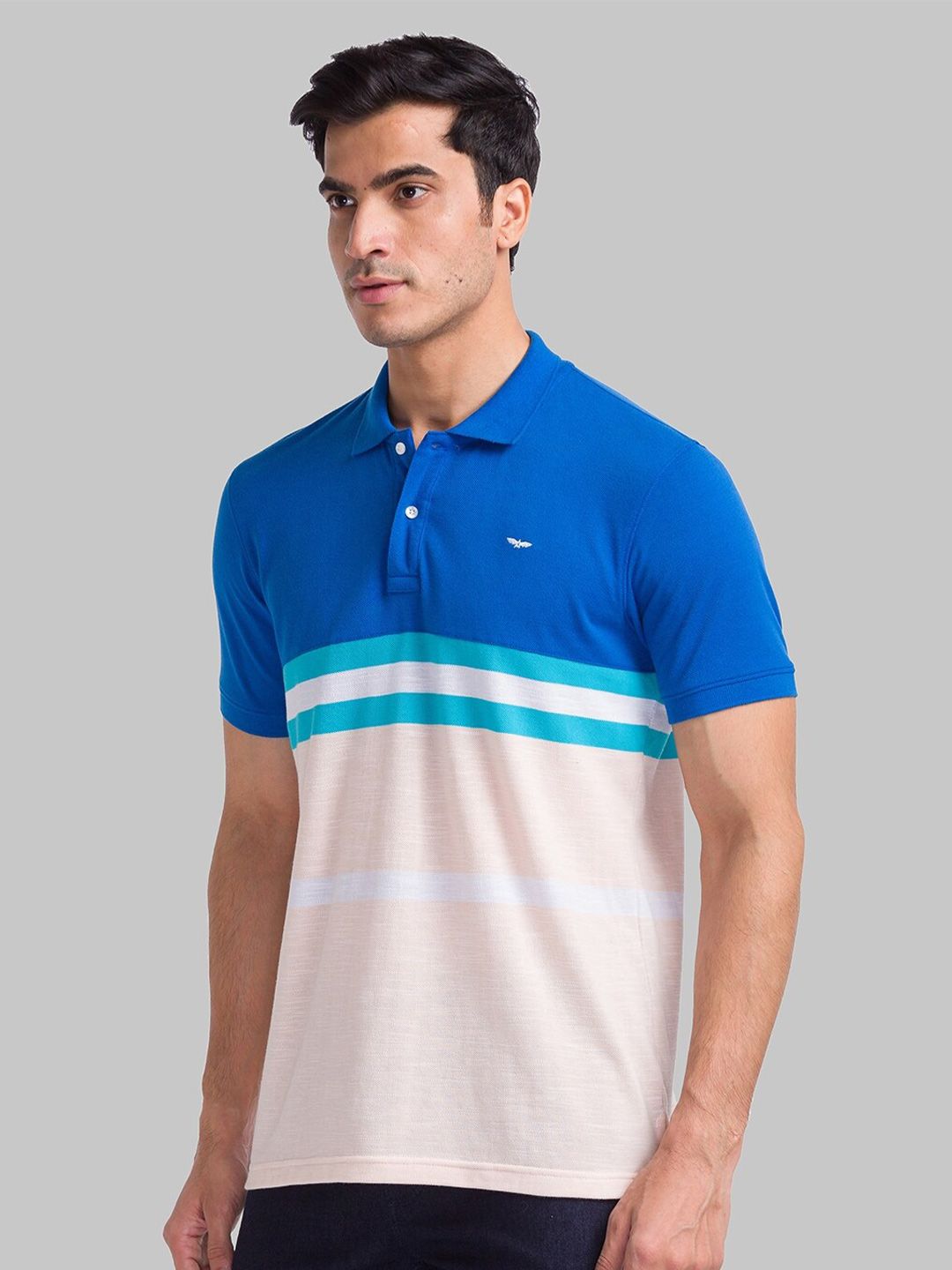 Park Avenue Striped Polo Collar Slim Fit T-shirt