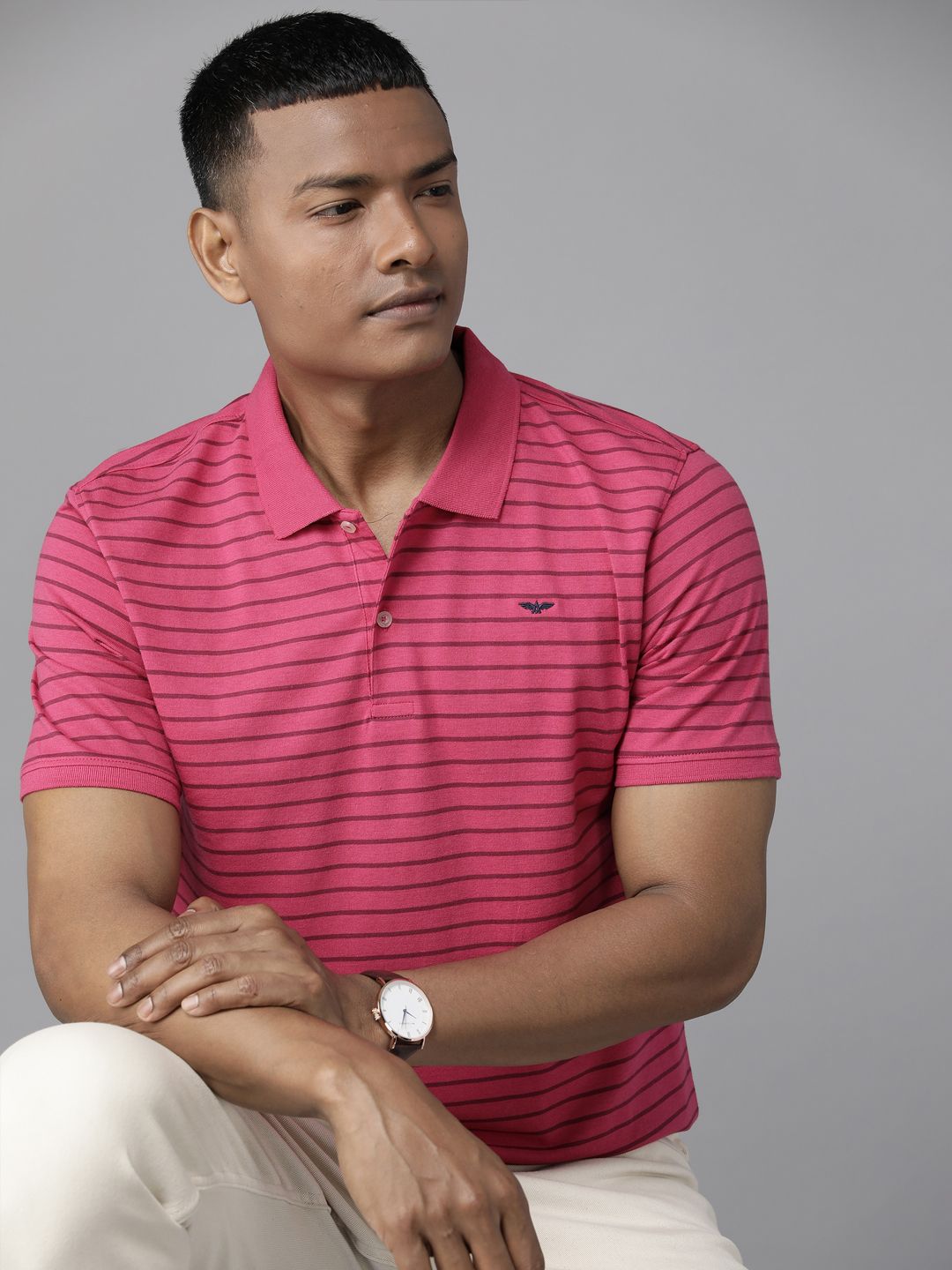 Park Avenue Men Striped Polo Collar Slim Fit T-shirt