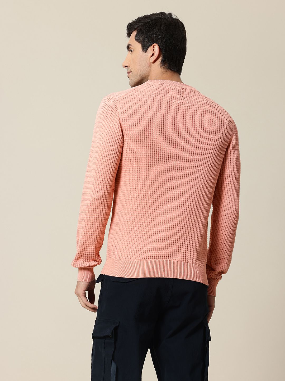 Mr Bowerbird Pure Cotton Self-Design Pullover Sweater