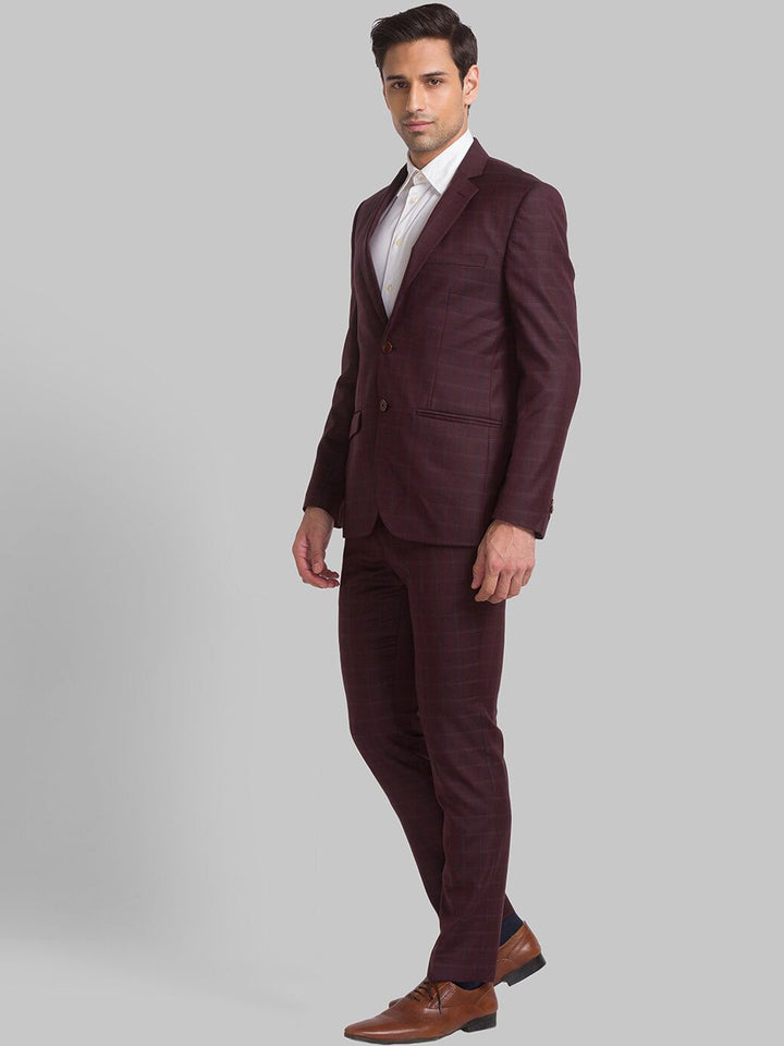 Park Avenue Men Checked Single Breasted Two Piece Formal Suit