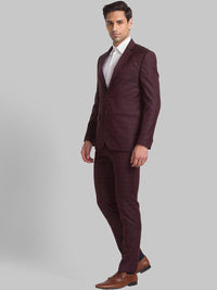Park Avenue Men Checked Single Breasted Two Piece Formal Suit