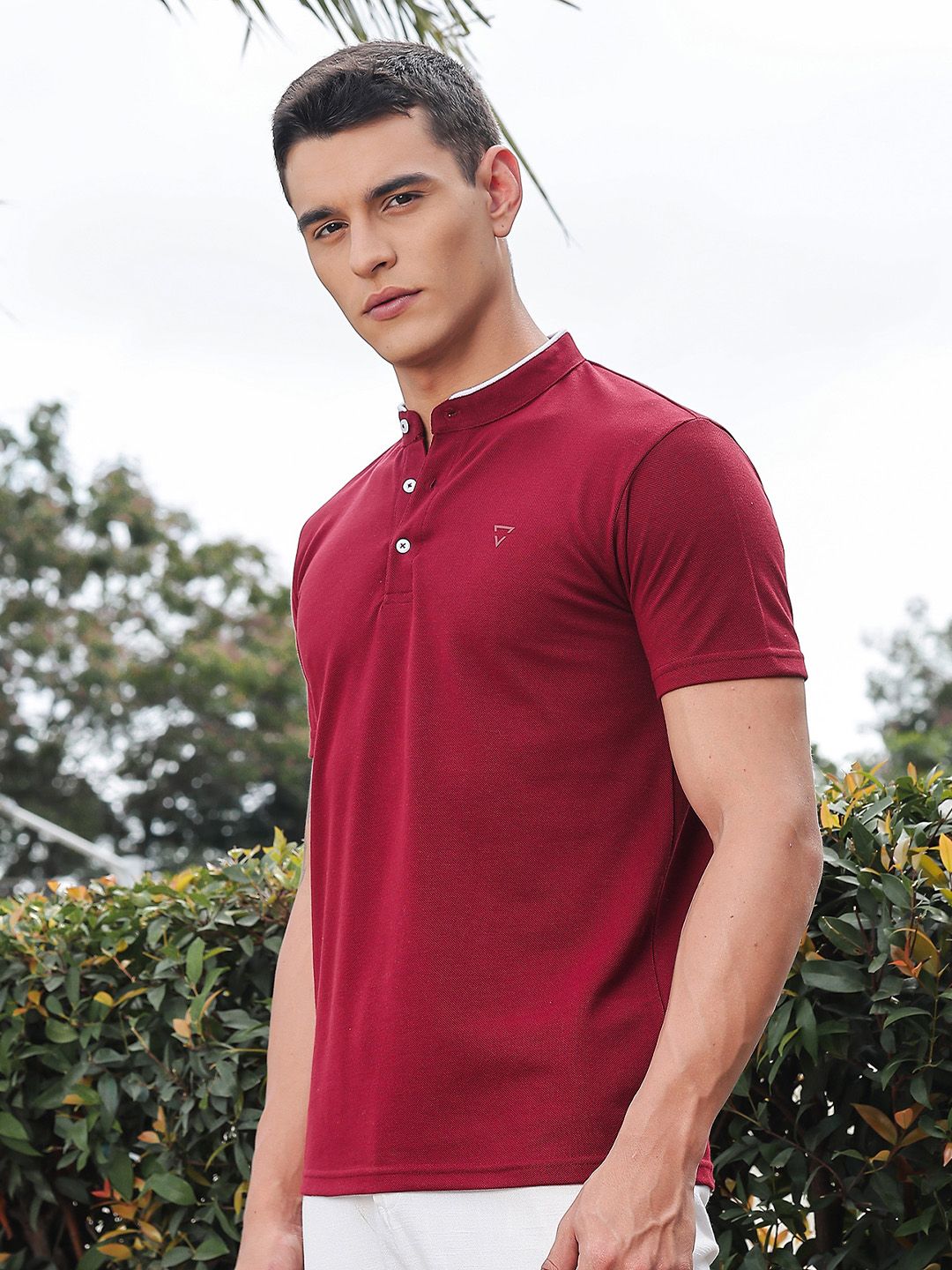 Thomas Scott Men Solid Mandarin Collar Knitted T-Shirt