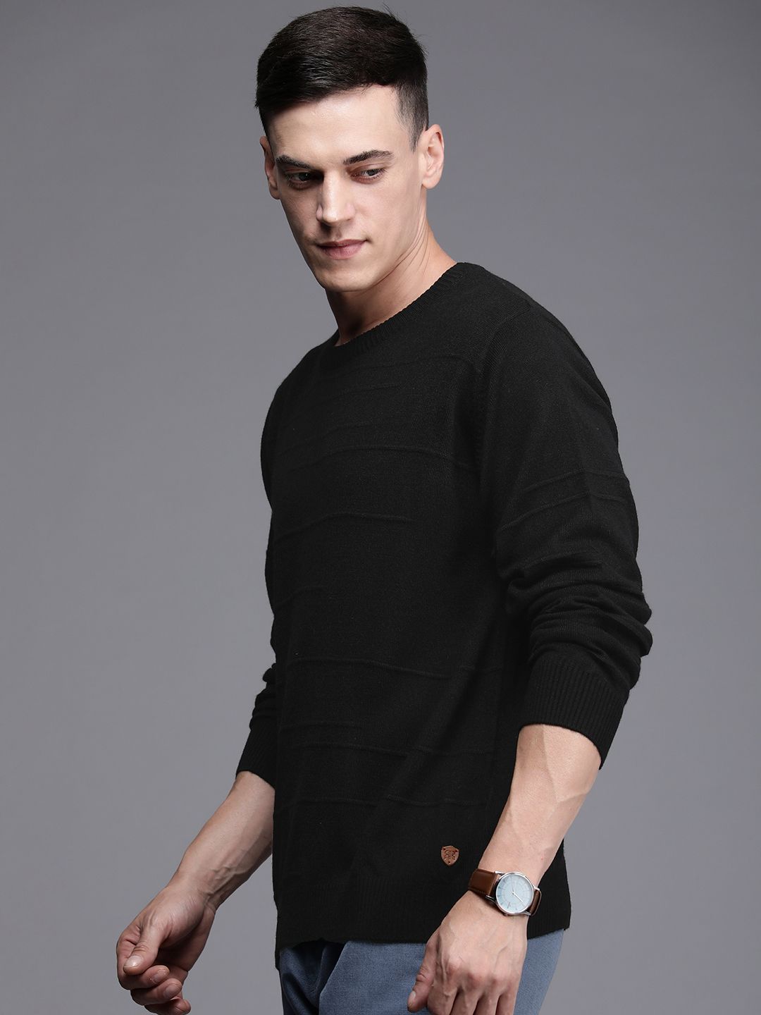 Raymond Men Black Solid Pullover