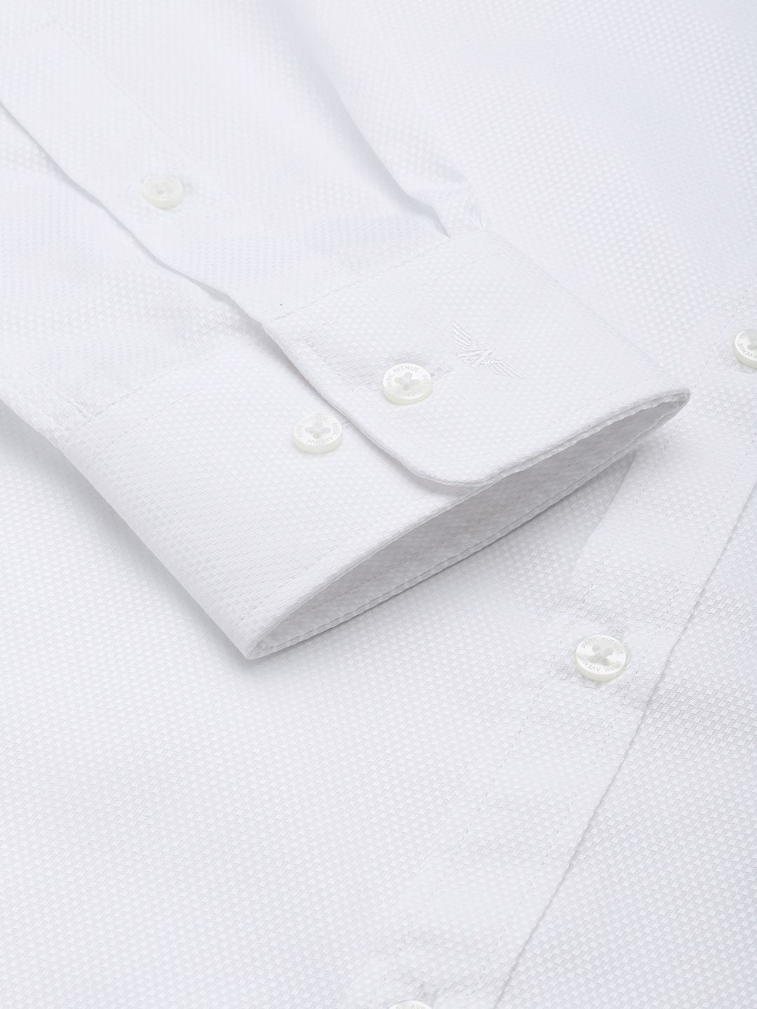 Park Avenue Slim Fit Opaque Formal Shirt