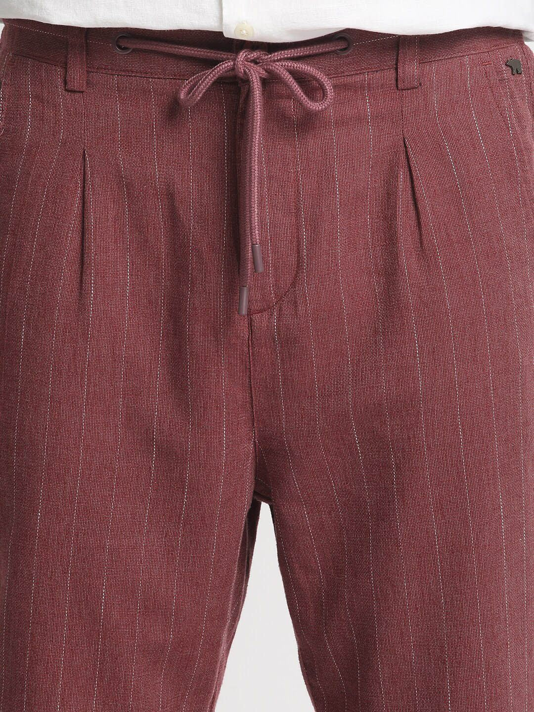 THE BEAR HOUSE Men Striped Tapered Fit Pleated Mid-Rise Trousers