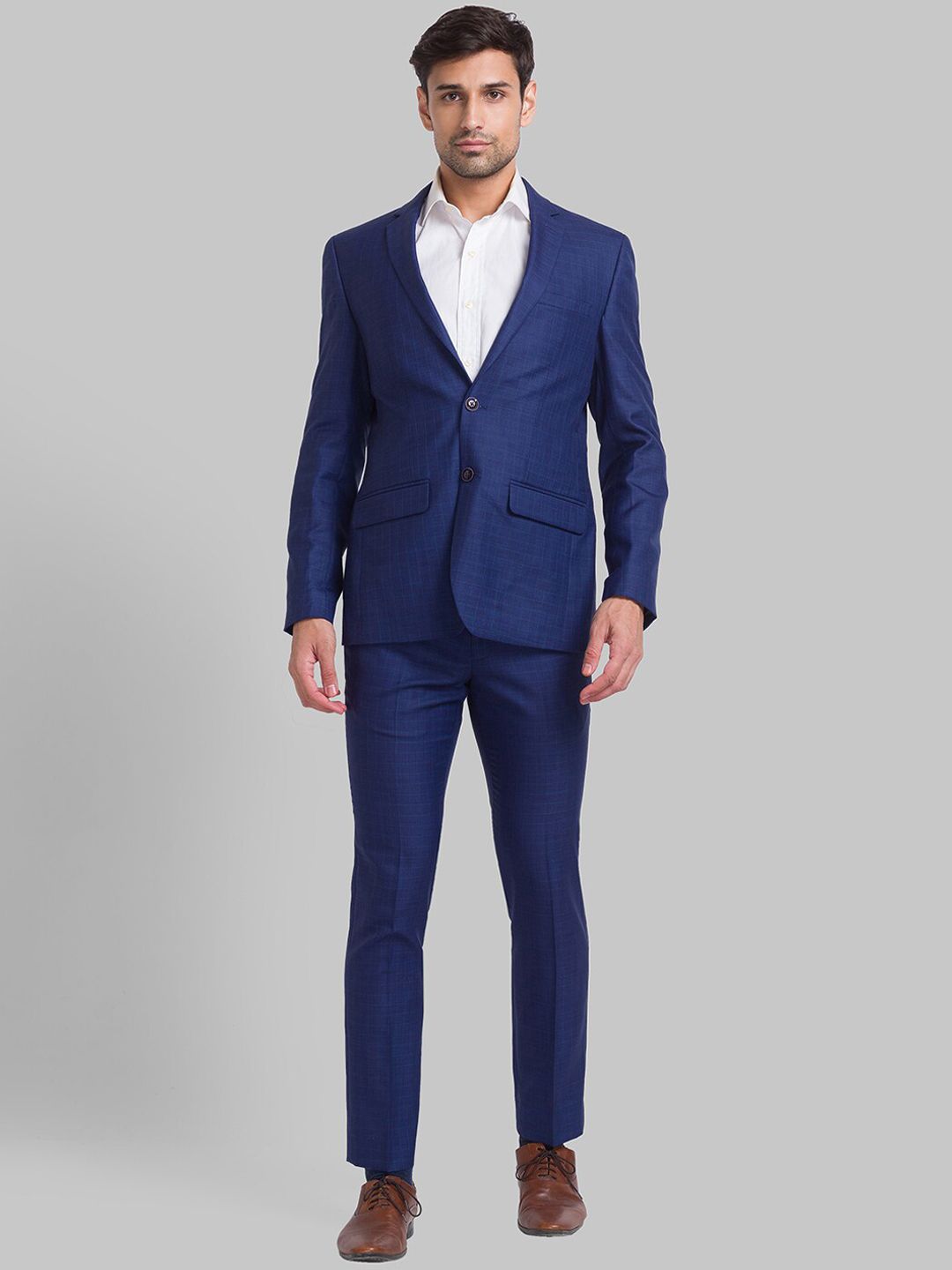 Park Avenue Men Checked Single-Breasted 2-Piece Suit