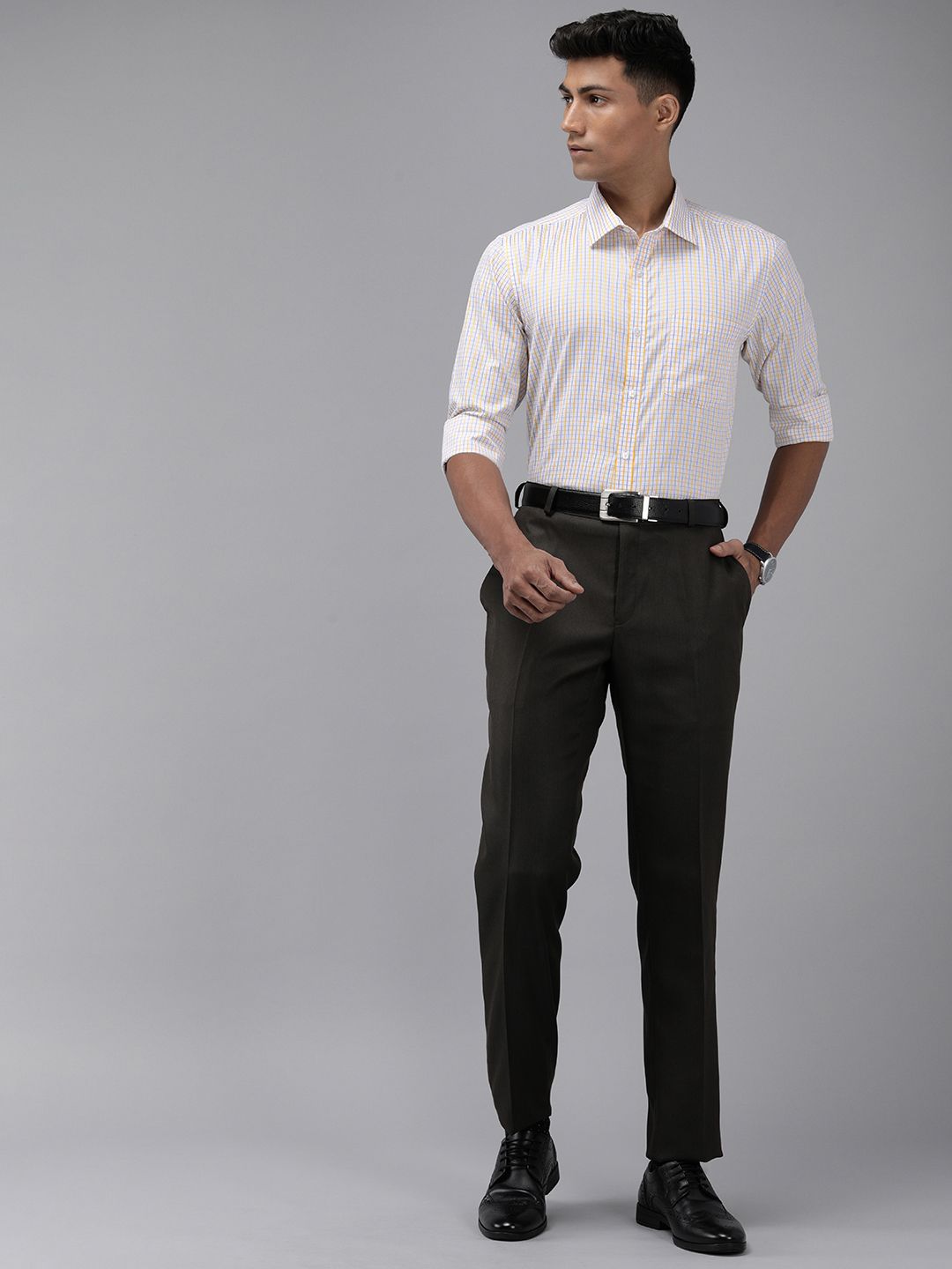 Park Avenue Slim Fit Checked Formal Shirt