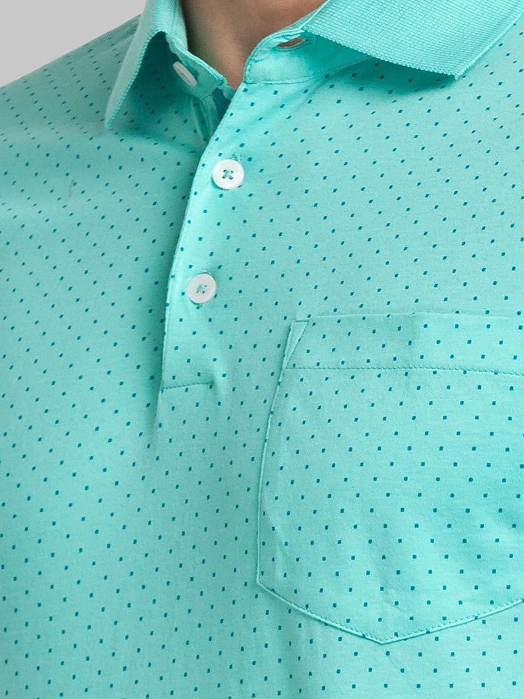 Park Avenue Men Polo Collar Cotton T-shirt