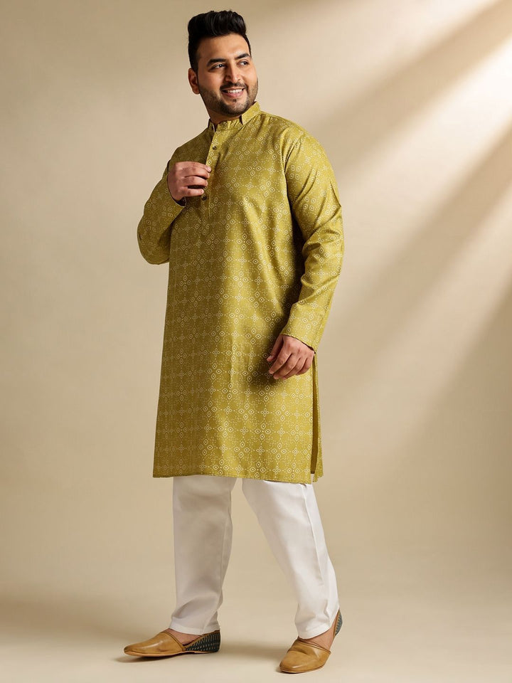 SOJANYA PLUS Ethnic Motifs Printed Mandarin Collar Straight Cotton Linen Kurta