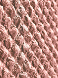 Cortina Pink Elastic Stretchable Sofa Cover With Arms