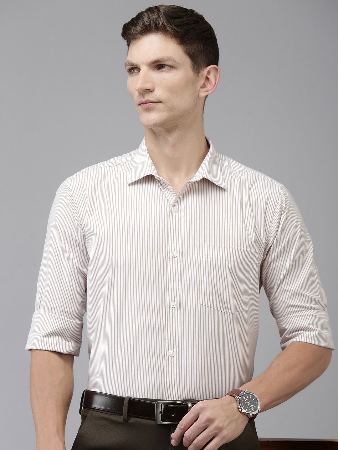 Park Avenue Slim Fit Opaque Striped Formal Shirt