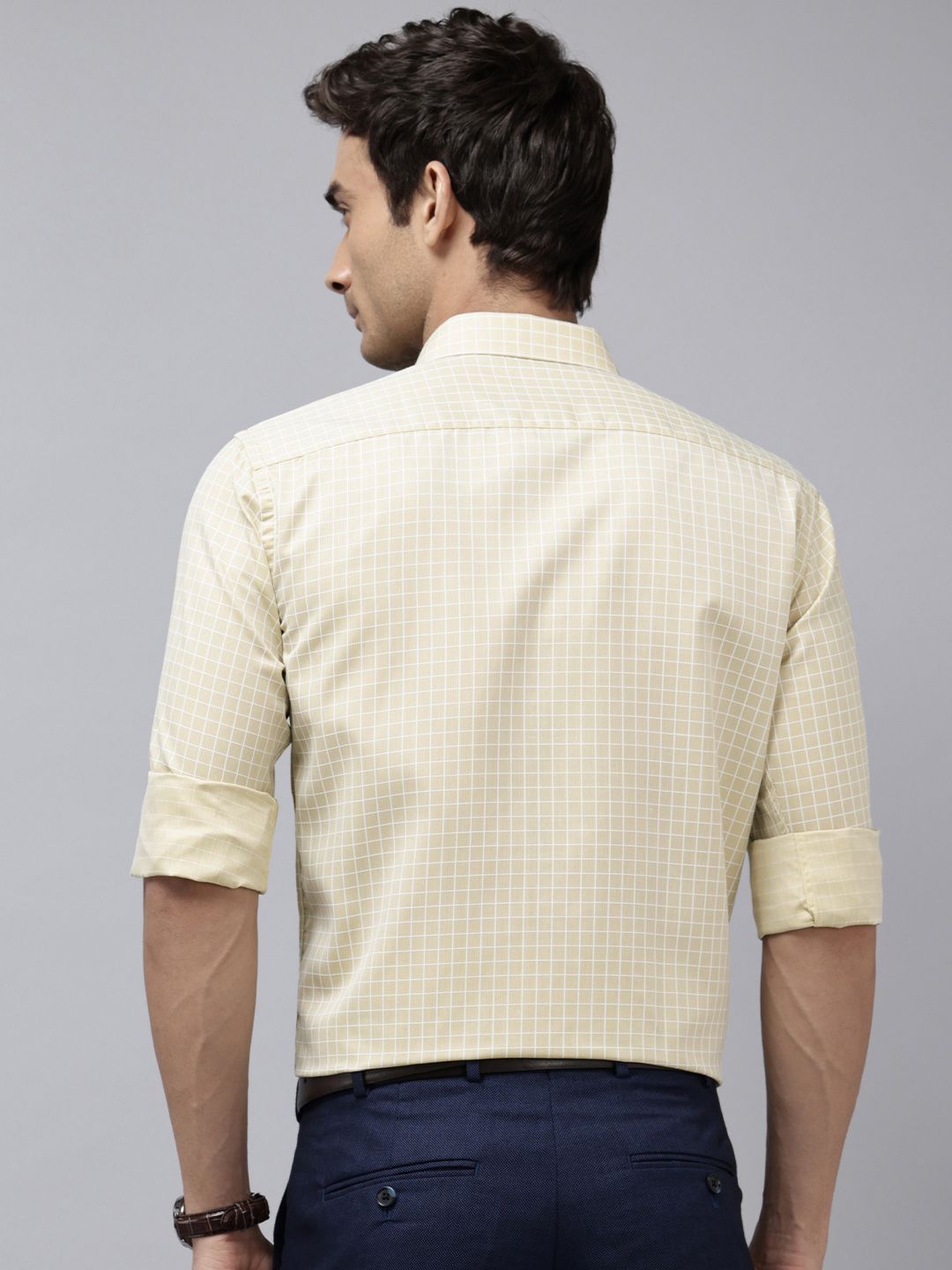 Park Avenue Slim Fit Checked Formal Shirt