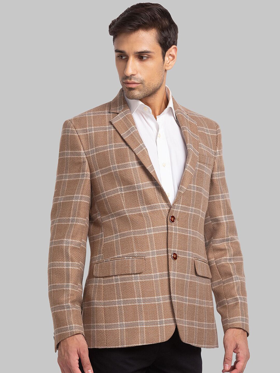 Park Avenue Men Checked Single Breasted Blazers