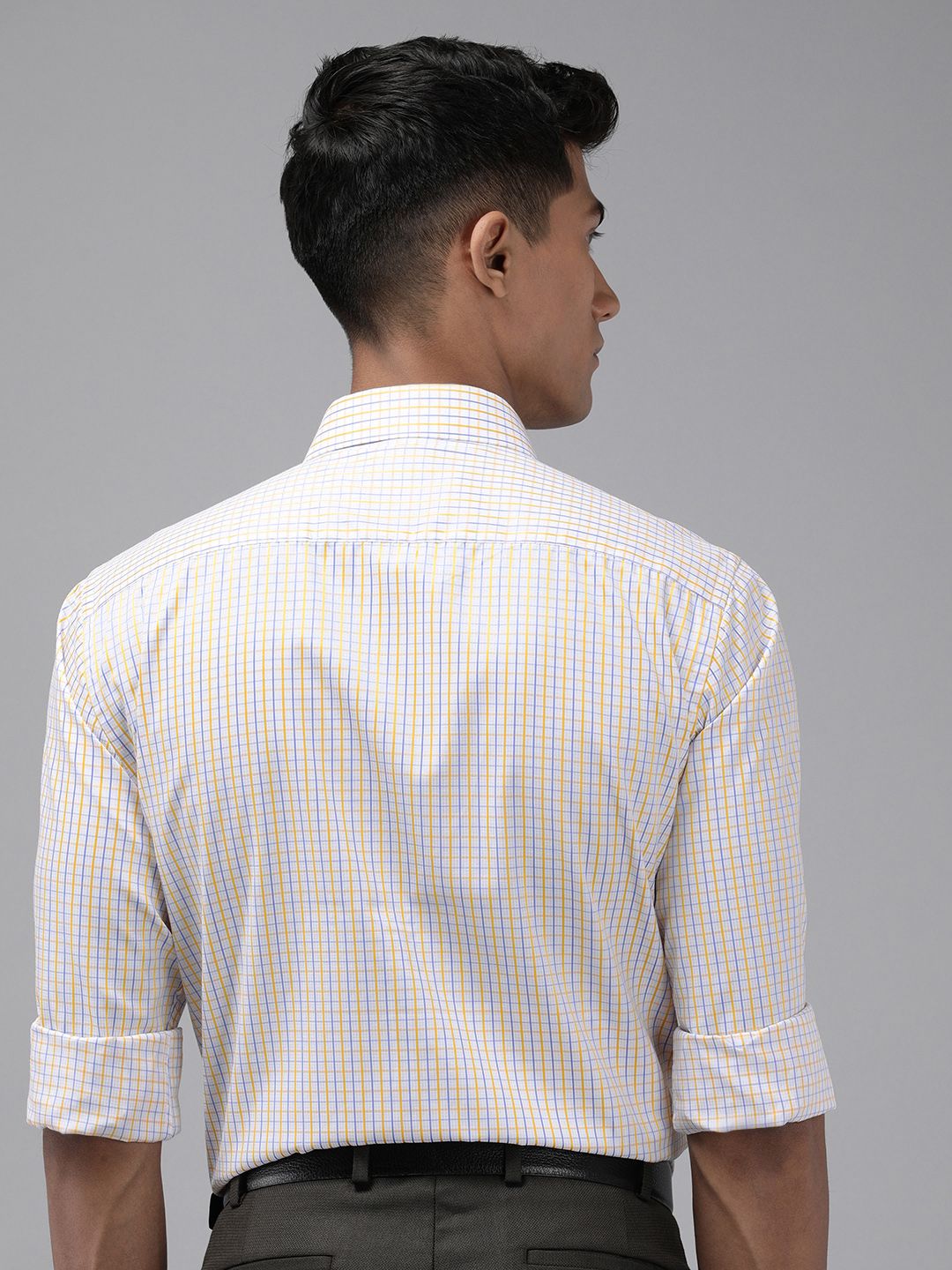 Park Avenue Slim Fit Checked Formal Shirt
