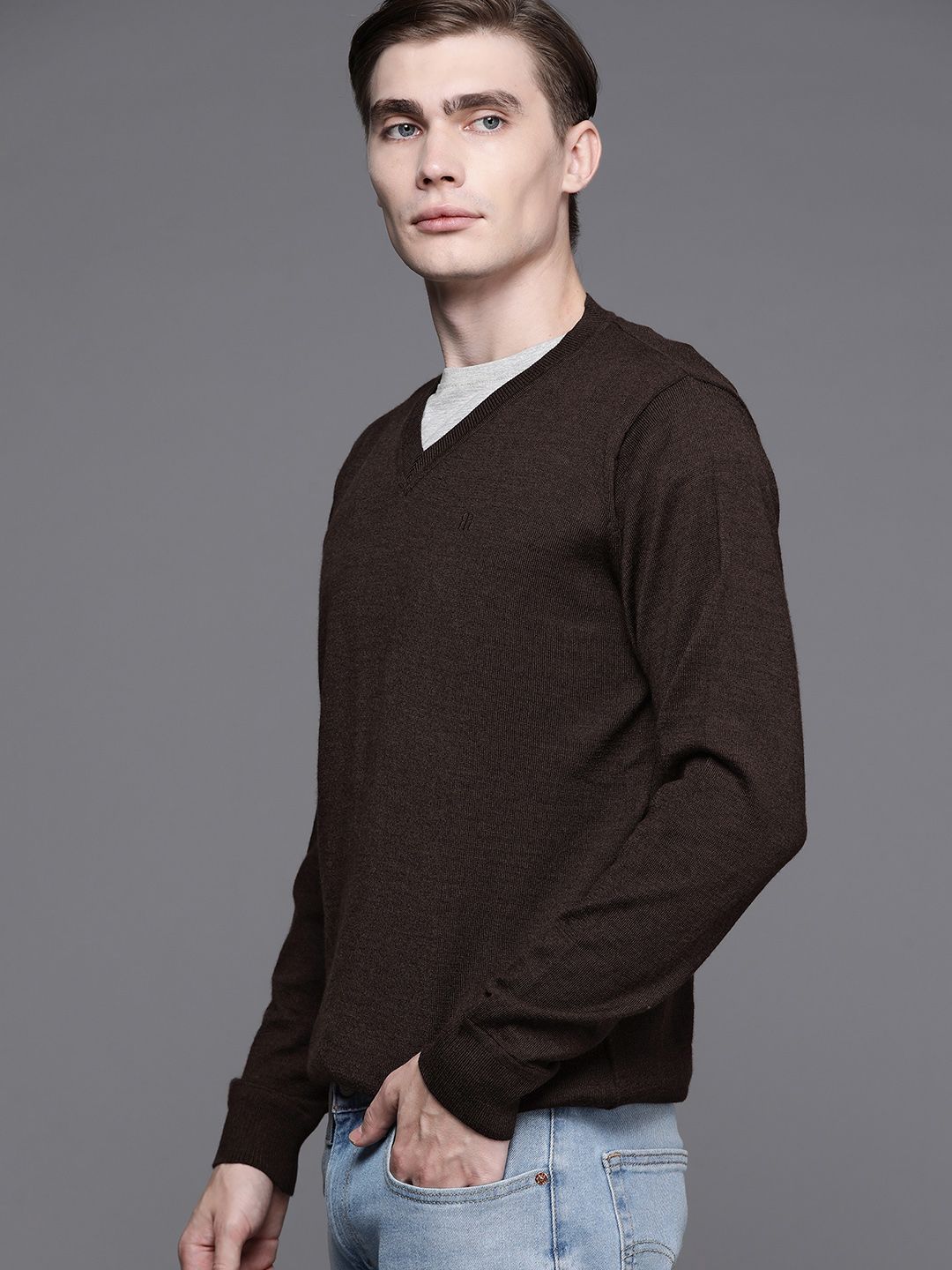 Raymond Men Solid Pullover