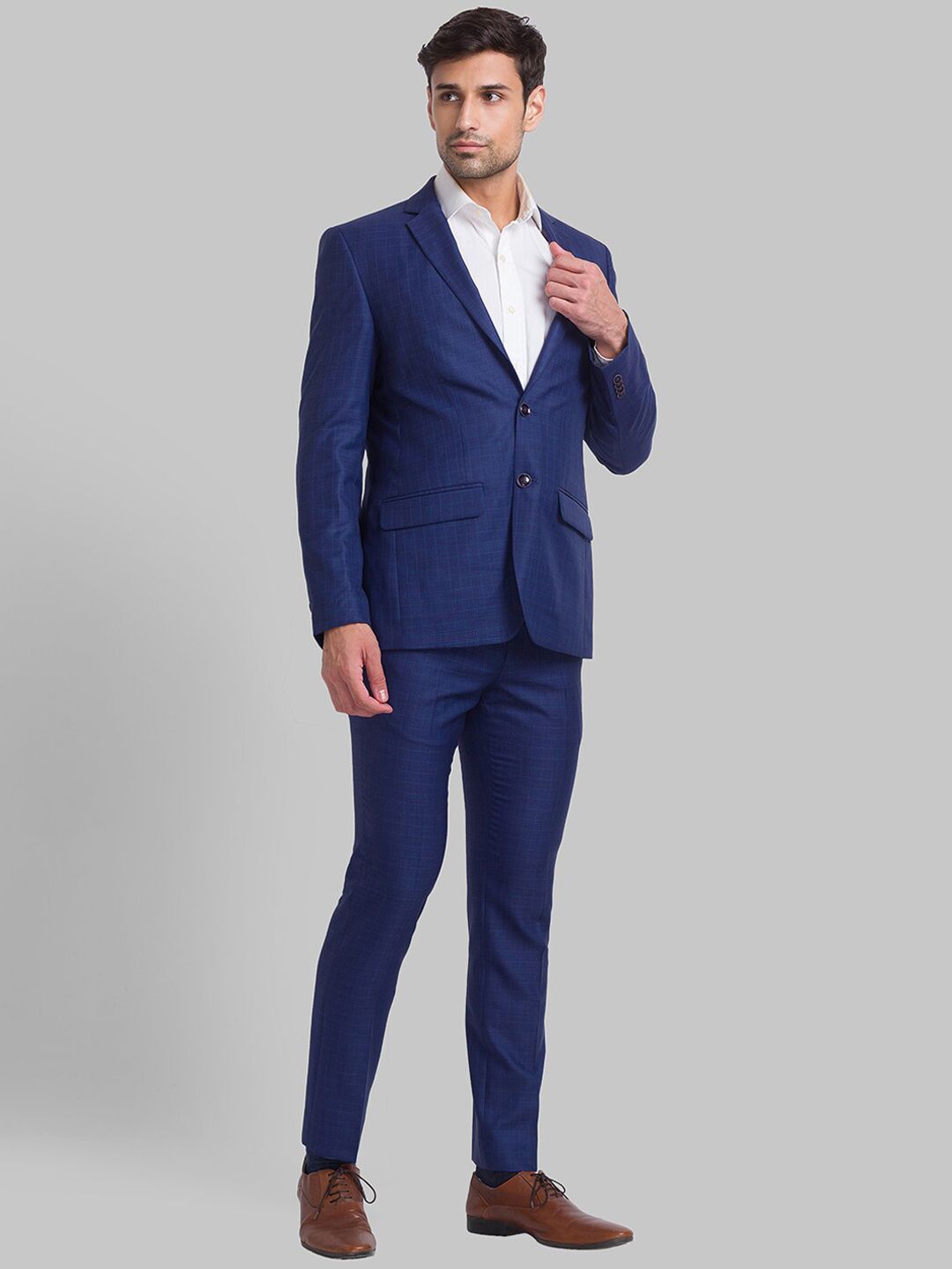 Park Avenue Men Checked Single-Breasted 2-Piece Suit