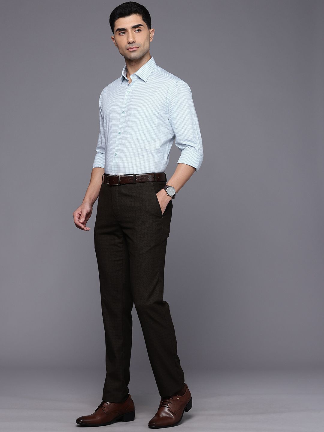 Raymond Slim Fit Checked Pure Cotton Formal Shirt