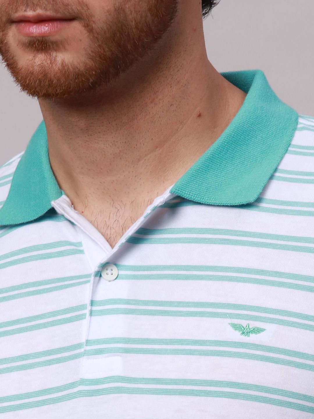 Park Avenue Men Striped Polo Collar Pockets Slim Fit T-shirt