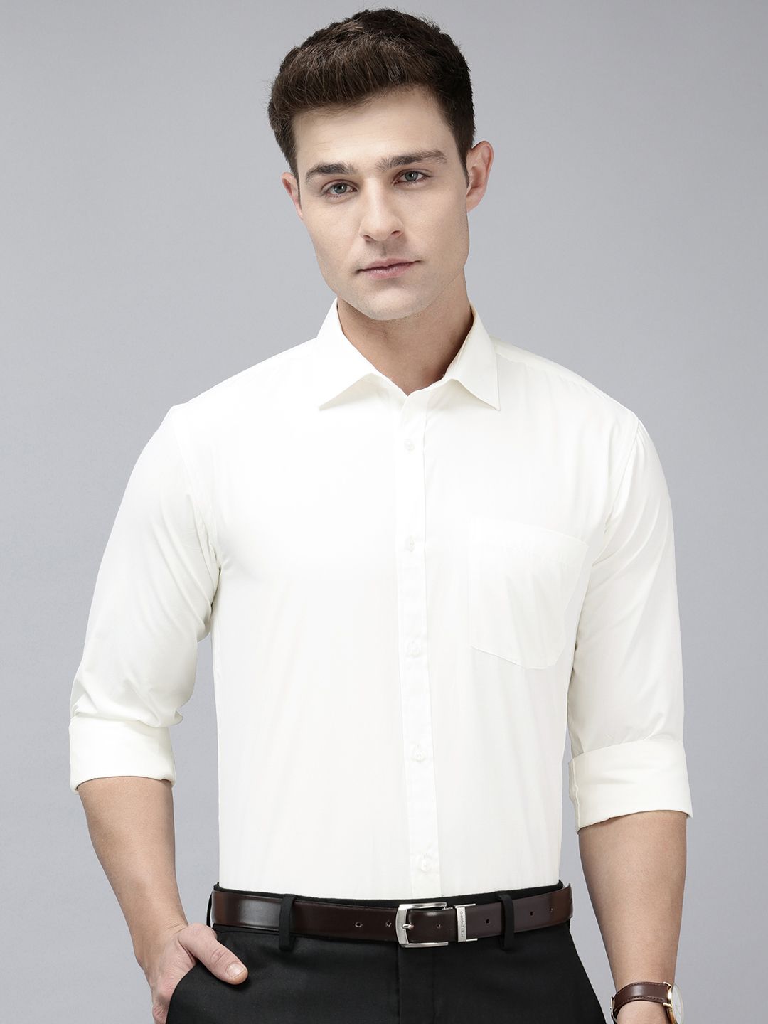 Park Avenue Slim Fit Opaque Formal Shirt