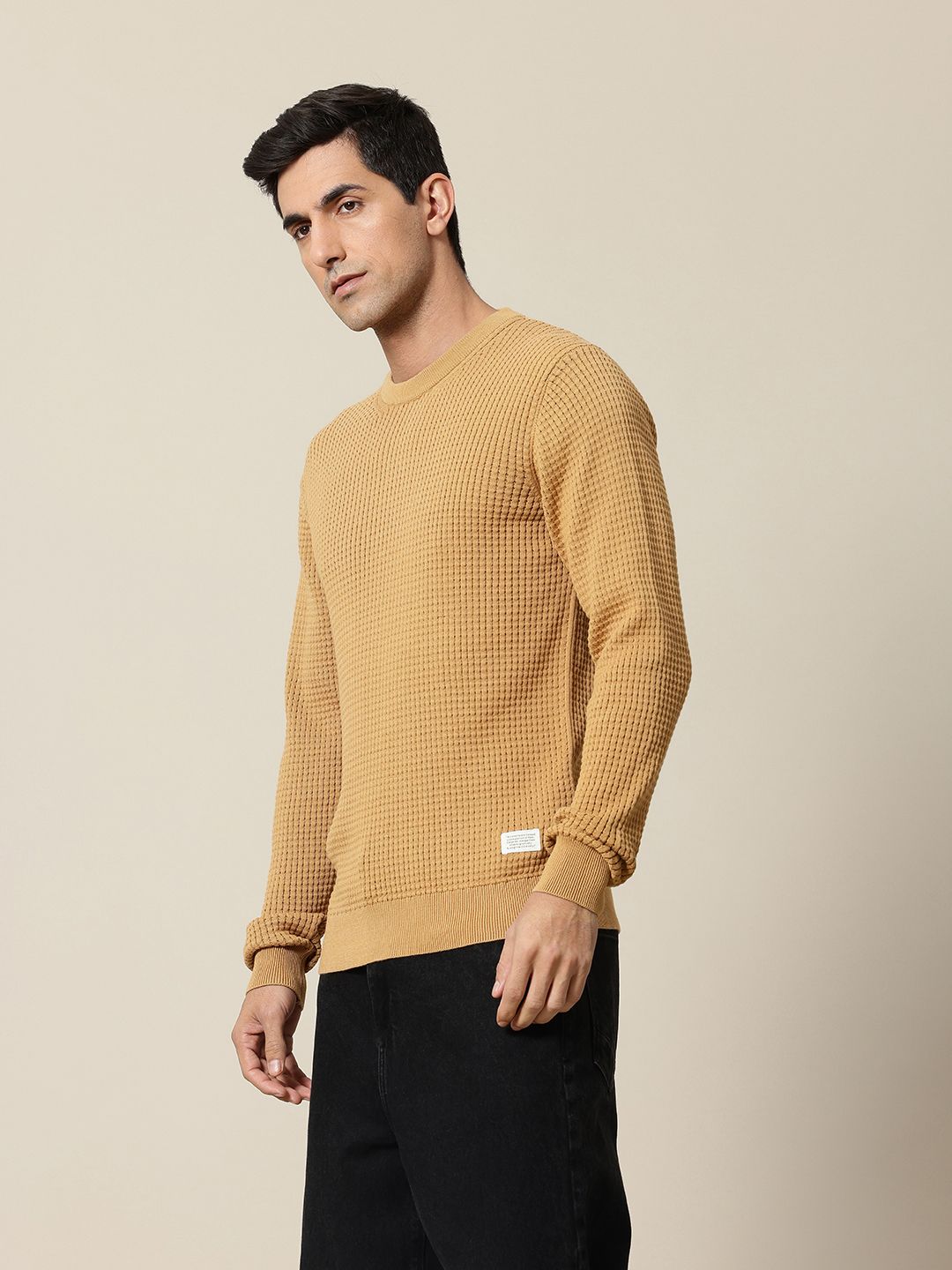Mr Bowerbird Pure Cotton Self-Design Pullover Sweater