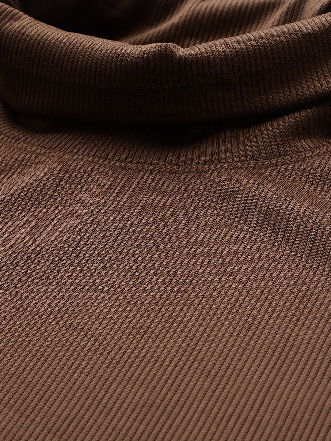 The Indian Garage Co Self Striped Turtle Neck Relaxed Fit Sweatshirt