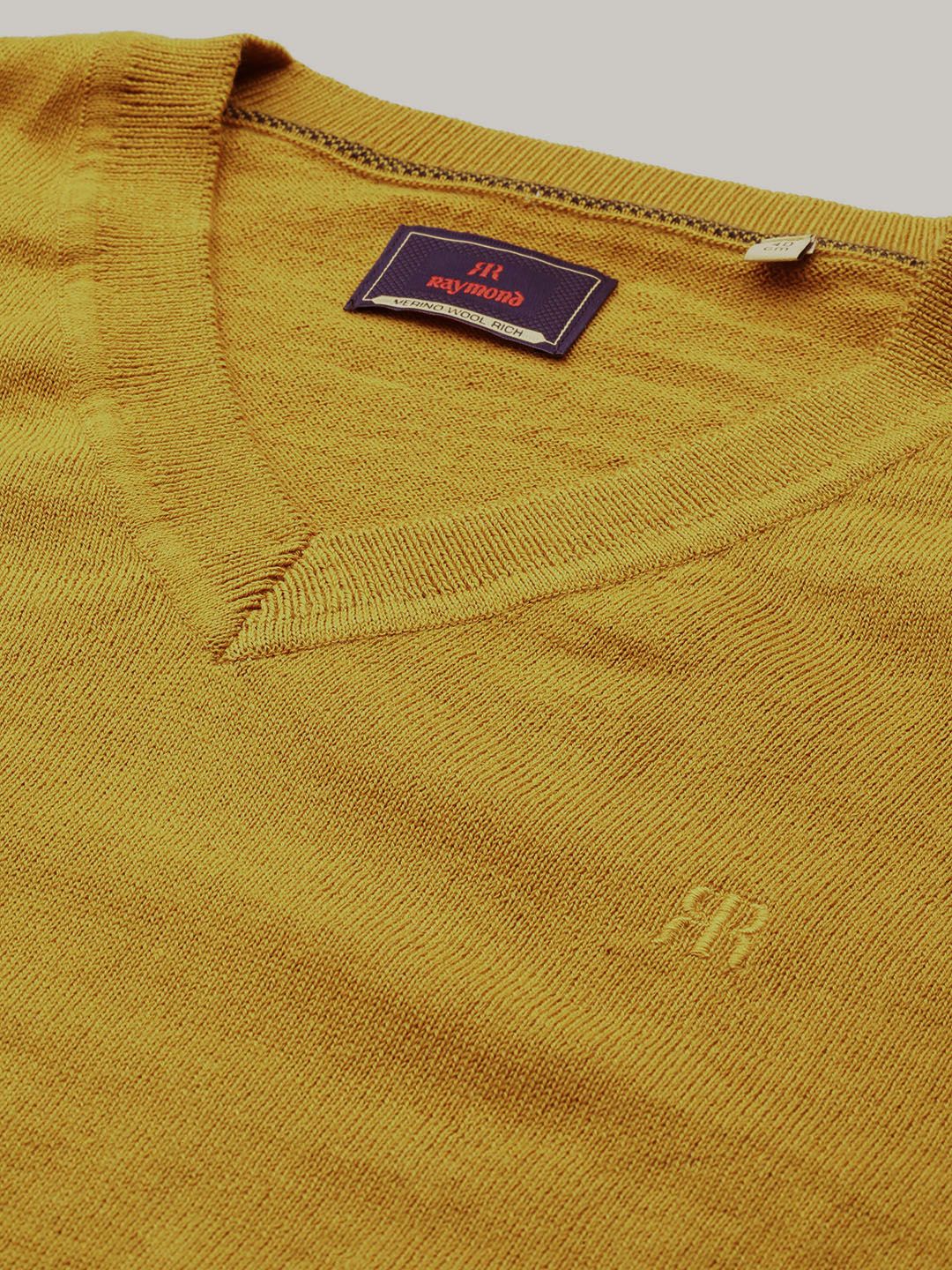 Raymond Men Solid Pullover