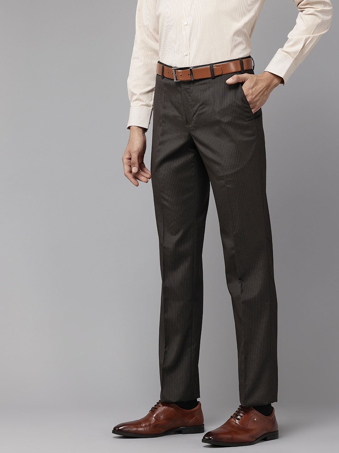 Park Avenue Men Striped Formal Trousers