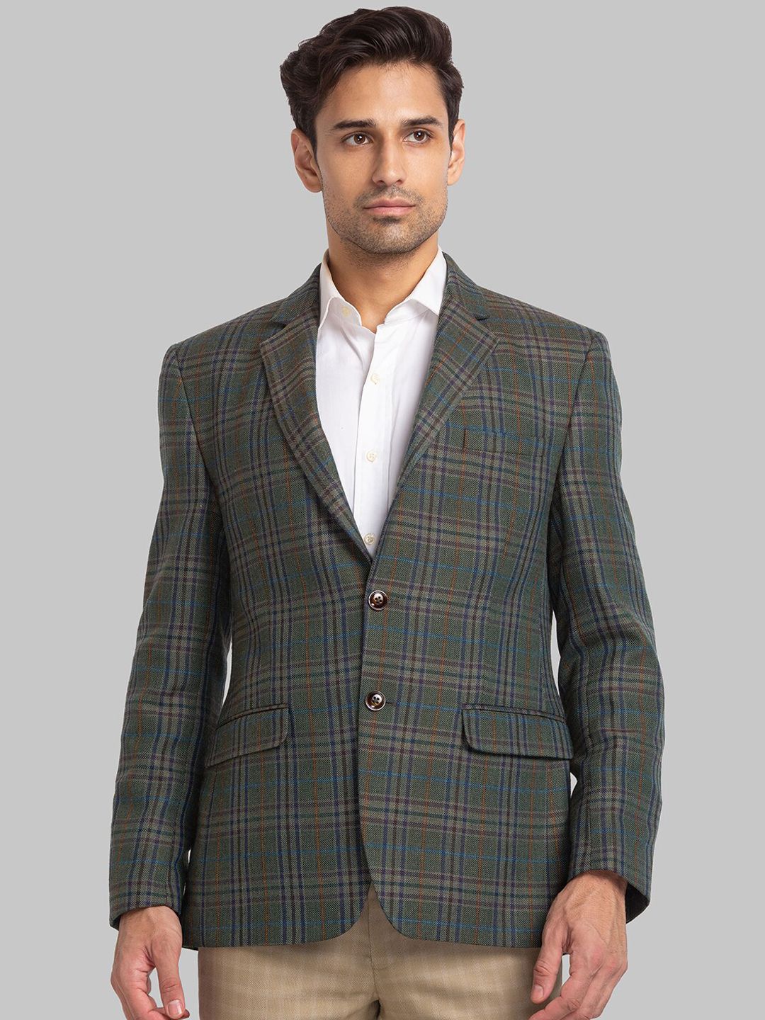 Park Avenue Men Checked Single-Breasted Blazer