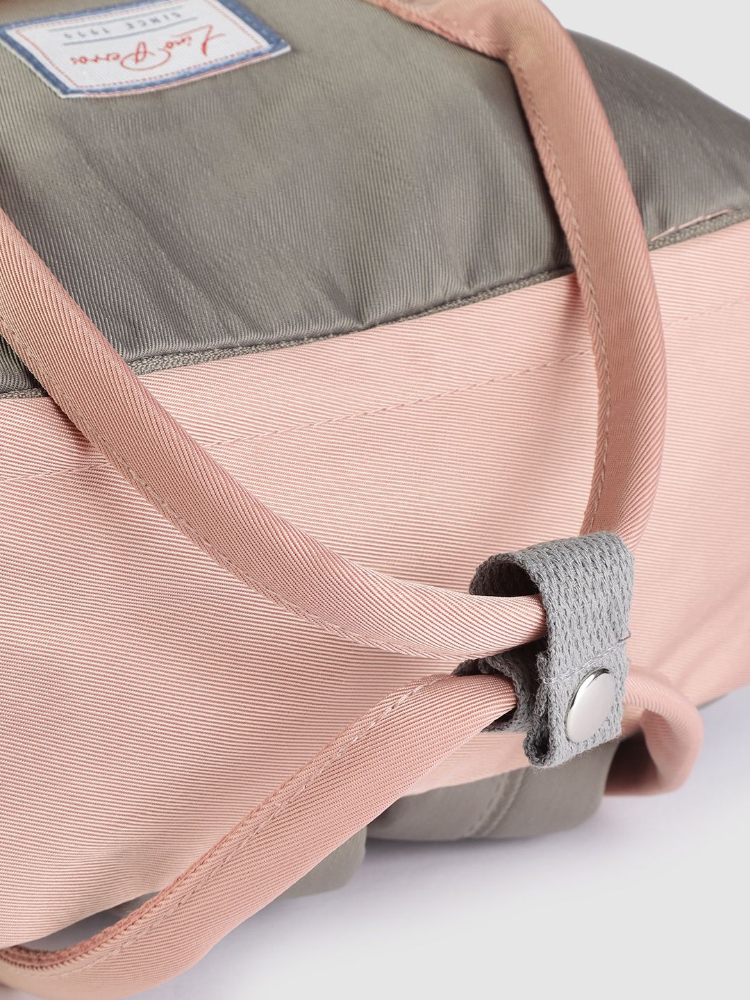 Lino Perros Women Pink & Grey Colourblocked Laptop Backpack
