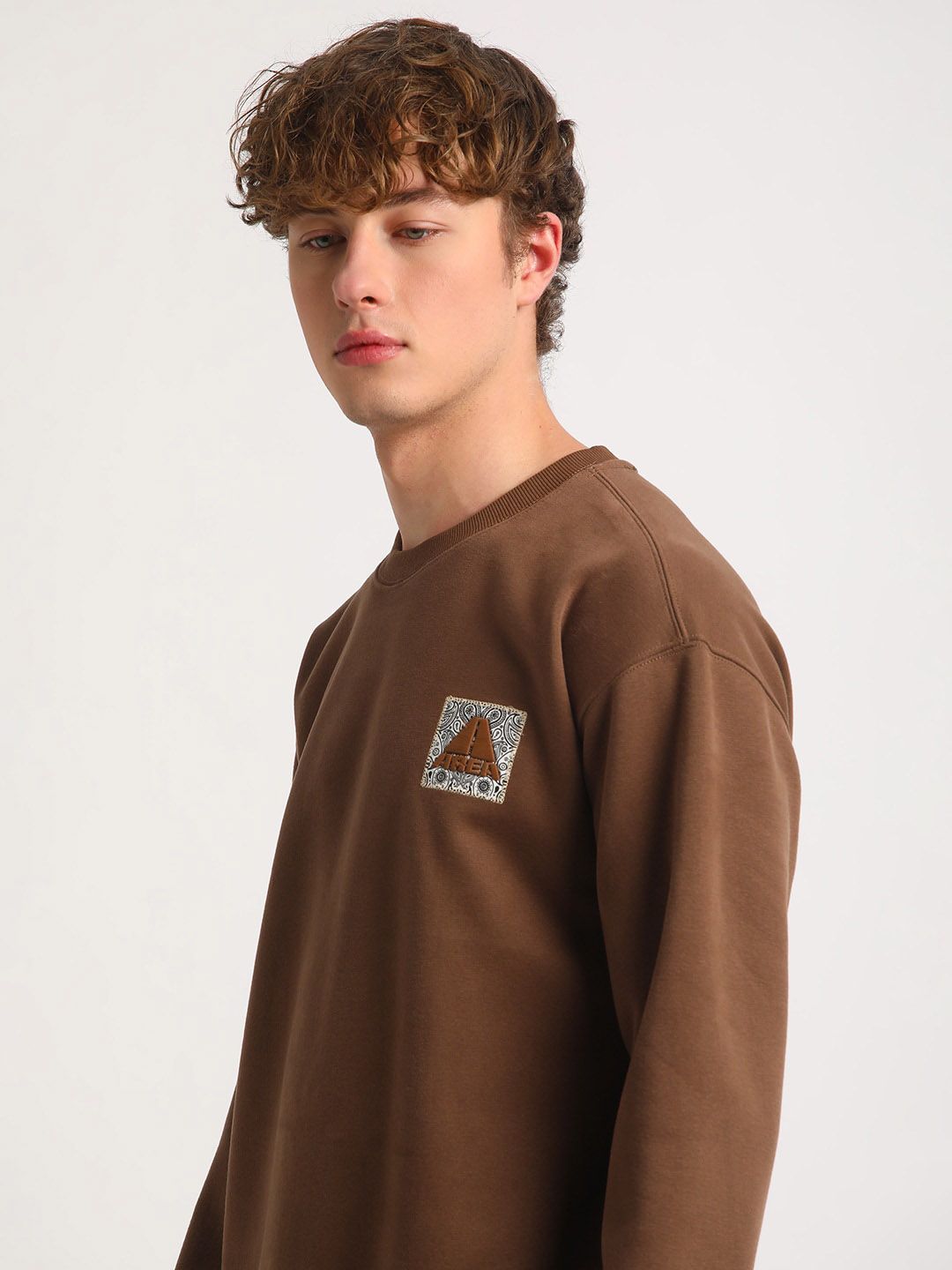 THE BEAR HOUSE Graphic Printed Pullover Sweatshirt