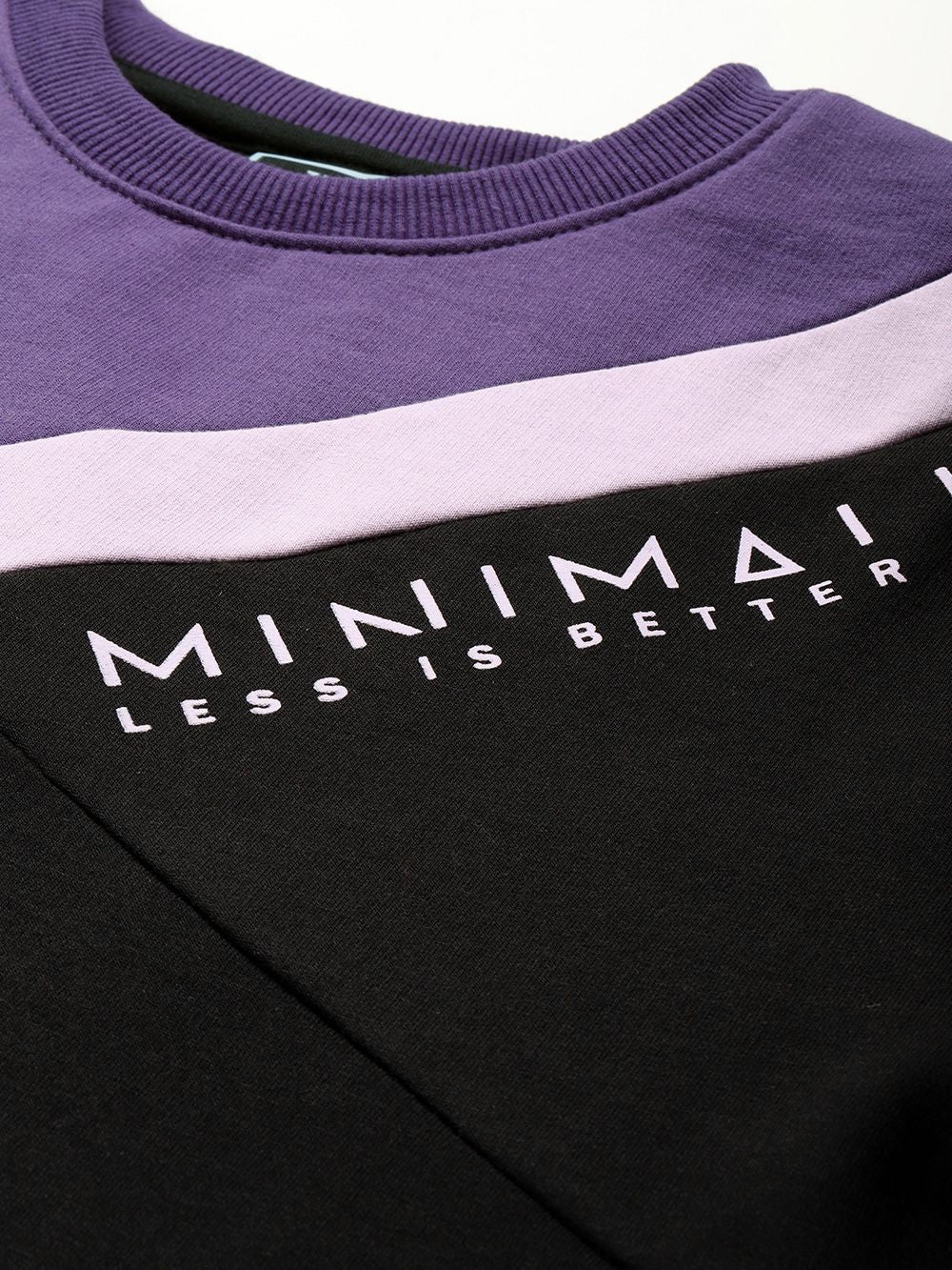 The Indian Garage Co Men Black &Purple Colourblocked Sweatshirt