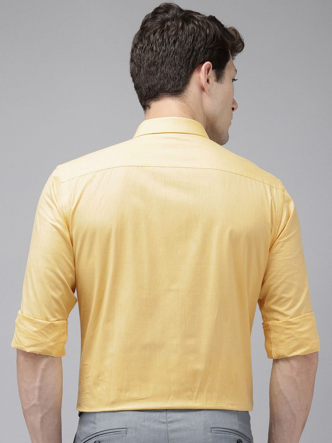 Park Avenue Pure Cotton Slim Fit Baju Formal Legap