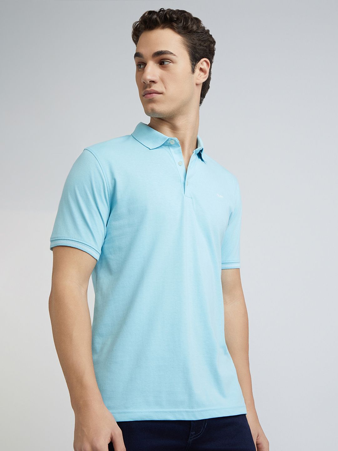 Park Avenue Men Solid Polo Collar Slim Fit T-shirt