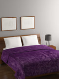 BOMBAY DYEING Fidelis Purple Mild Winter 284 GSM Double Bed Blanket