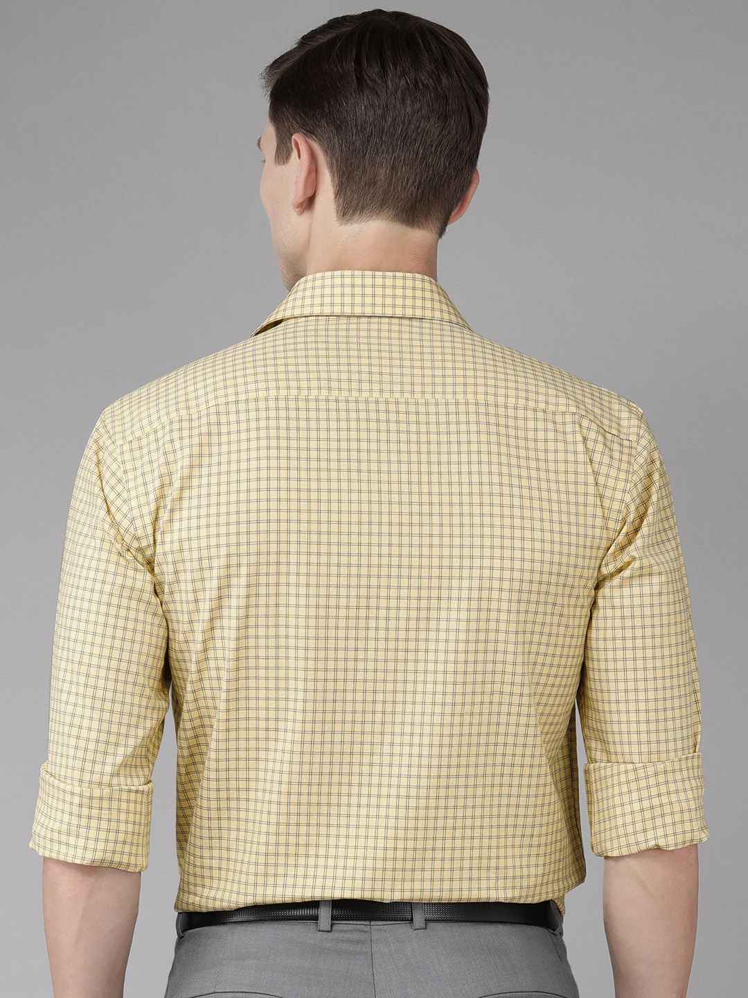 Park Avenue Pure Cotton Slim Fit Checked Formal Shirt