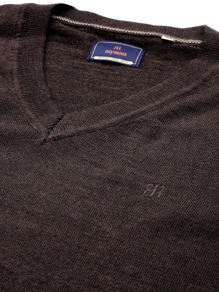 Raymond Men Solid Pullover