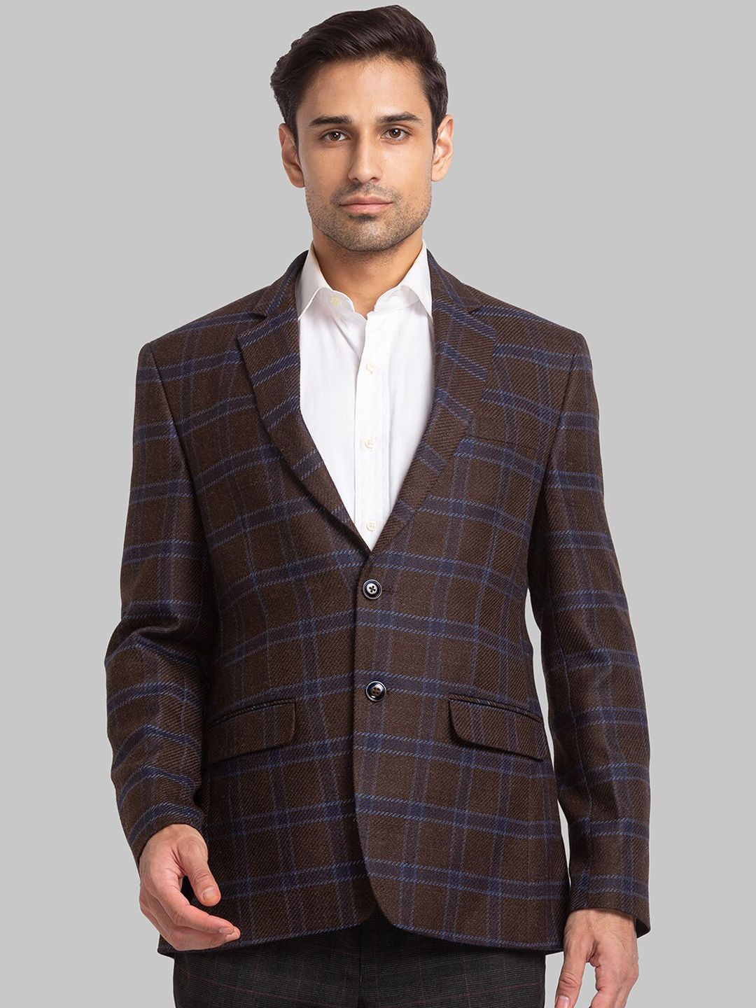 Park Avenue Men Checked Single Breasted Blazers