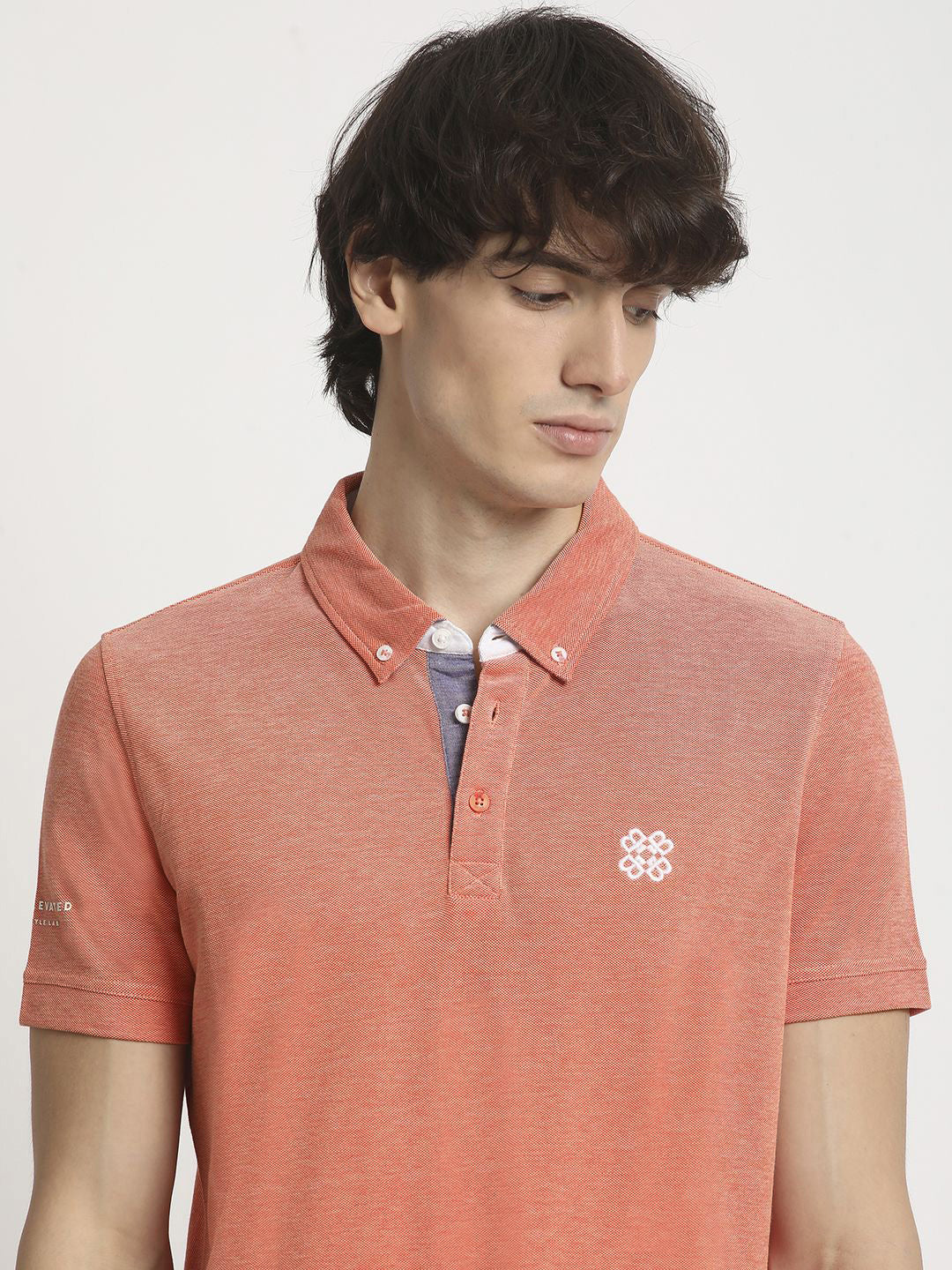 The Bear House Men Solid Polo Collar Regular Fit Tshirt