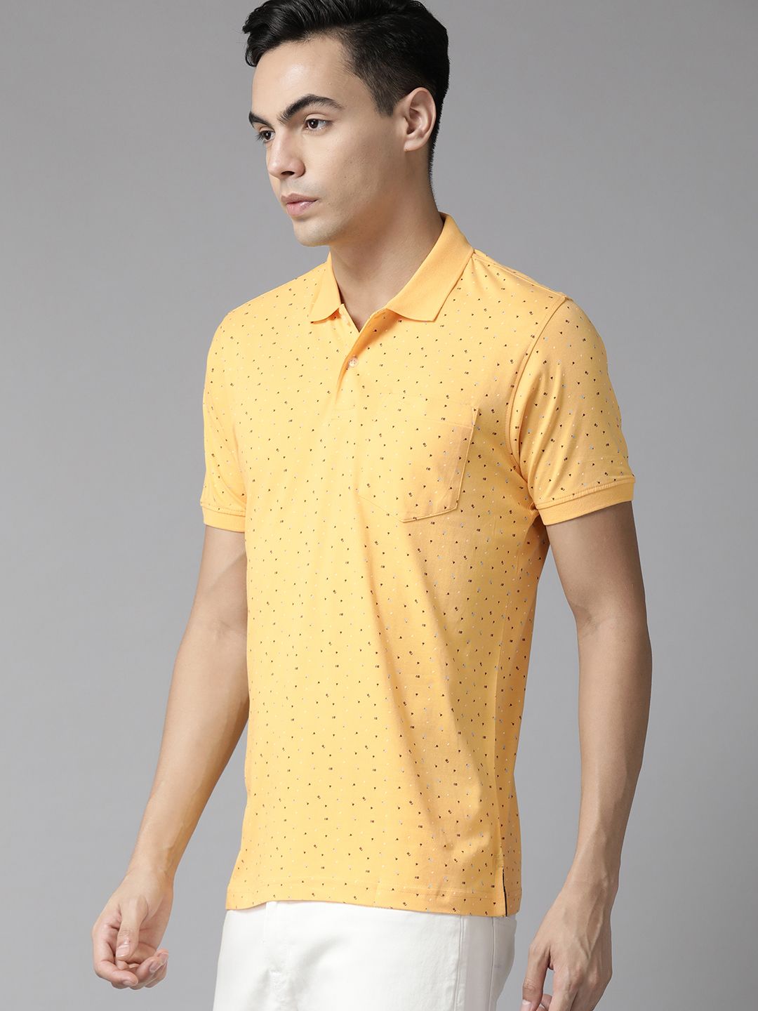 Park Avenue Men Printed Polo Collar Slim Fit T-shirt