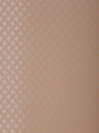 HOSTA HOMES Brown & Cream-Coloured Geometric Long Door Curtain