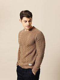 Mr Bowerbird Men Beige Self Design Pullover Sweater