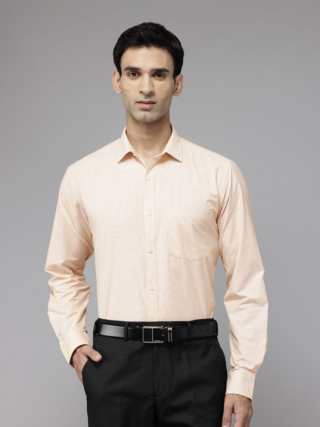 Park Avenue Slim Fit Pinstriped Formal Shirt