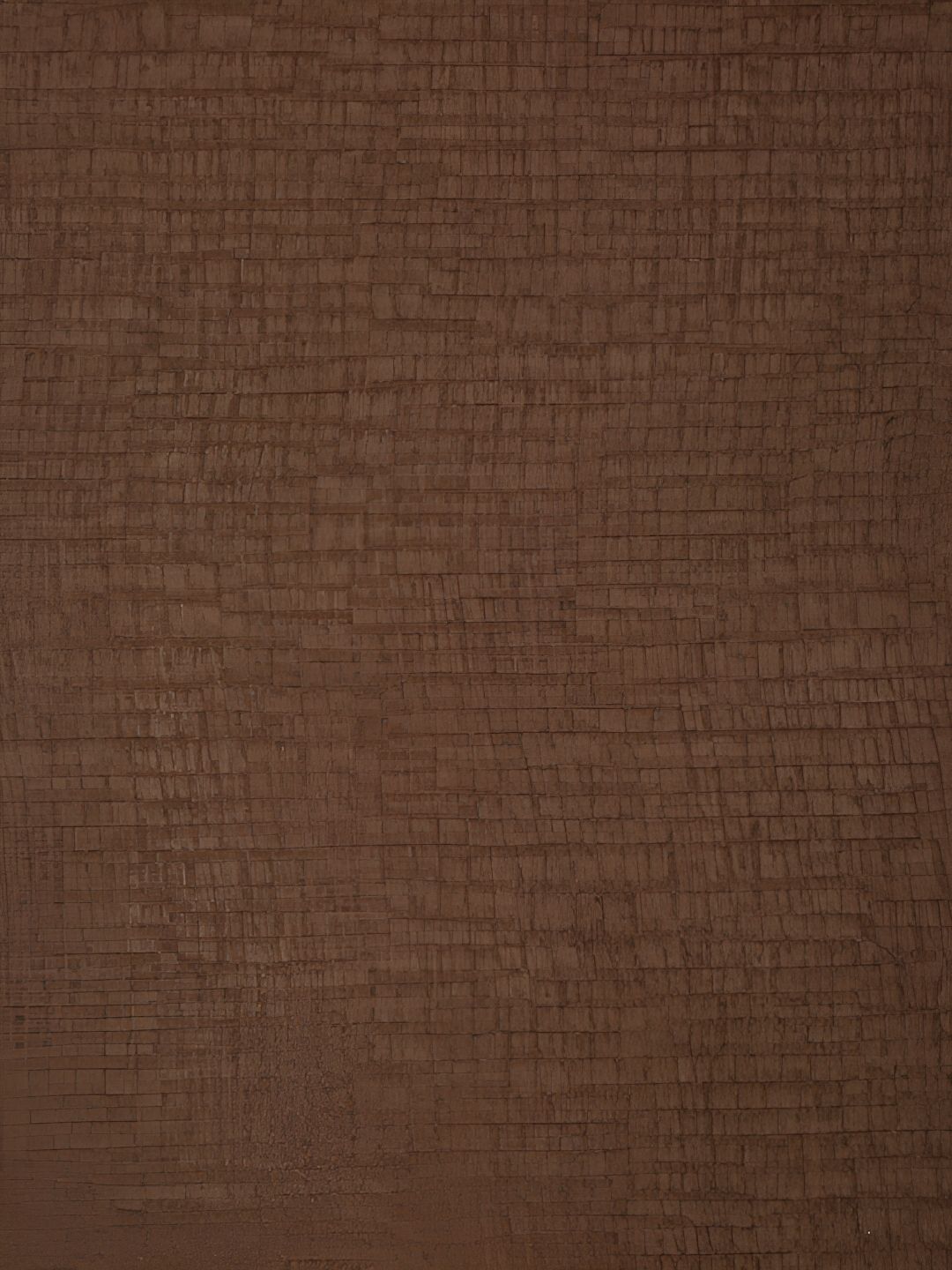 HOSTA HOMES Brown Abstract Black Out Door Curtain